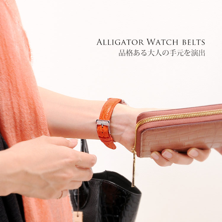 アリゲーター クロコダイル 本革 腕時計 ベルト 取り付け用 防水