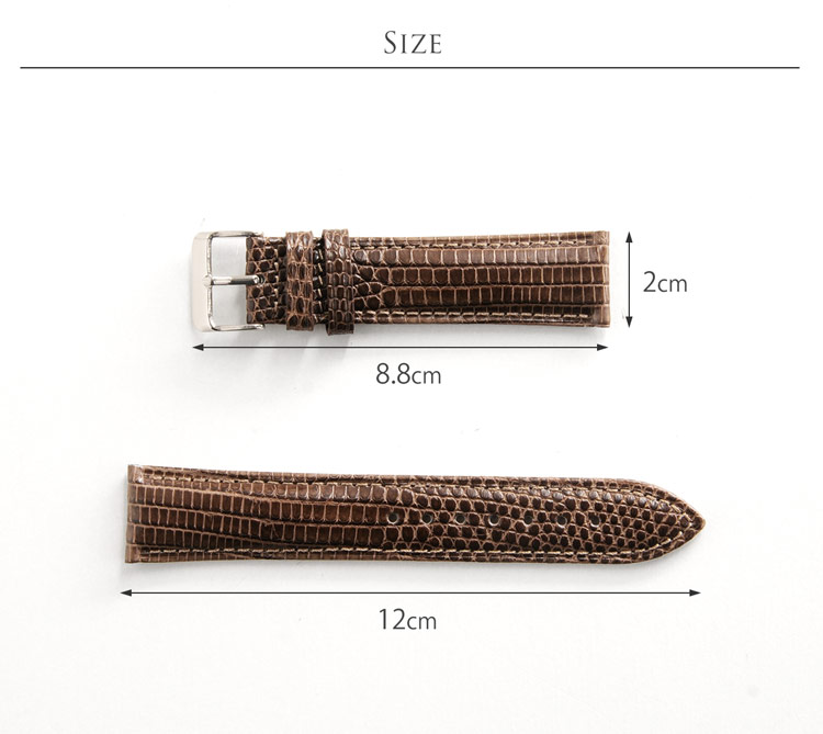リザード トカゲ 爬虫類 本革 腕時計 ベルト 取り付け用 防水