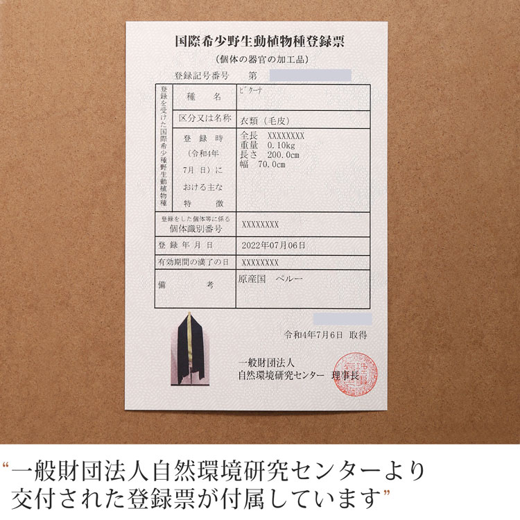 登録番号付き証明書が付属