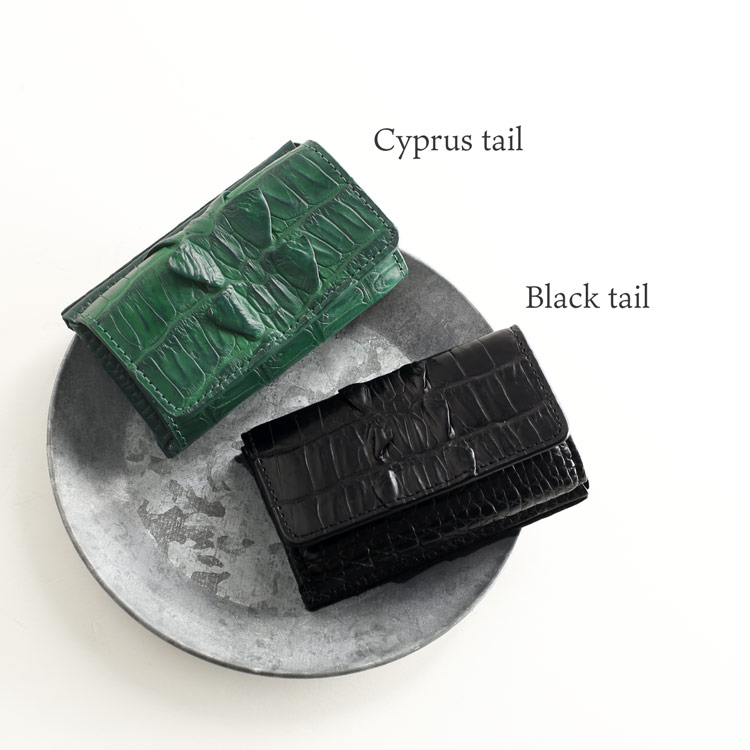 クロコダイル キーケース メンズ キーホルダー ブラック キプロス パスケース クロコ 本物 小さい 小さめ