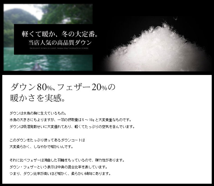 【1点限り】ダウンコート スリム 軽量 ダウン80% レディース (2540r)