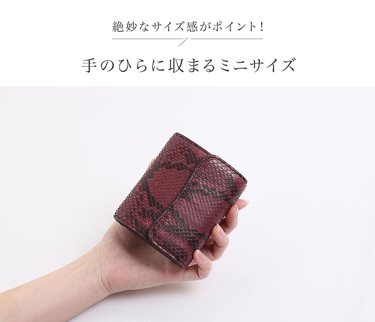 パイソン 小さい財布 手のひらサイズ レディース