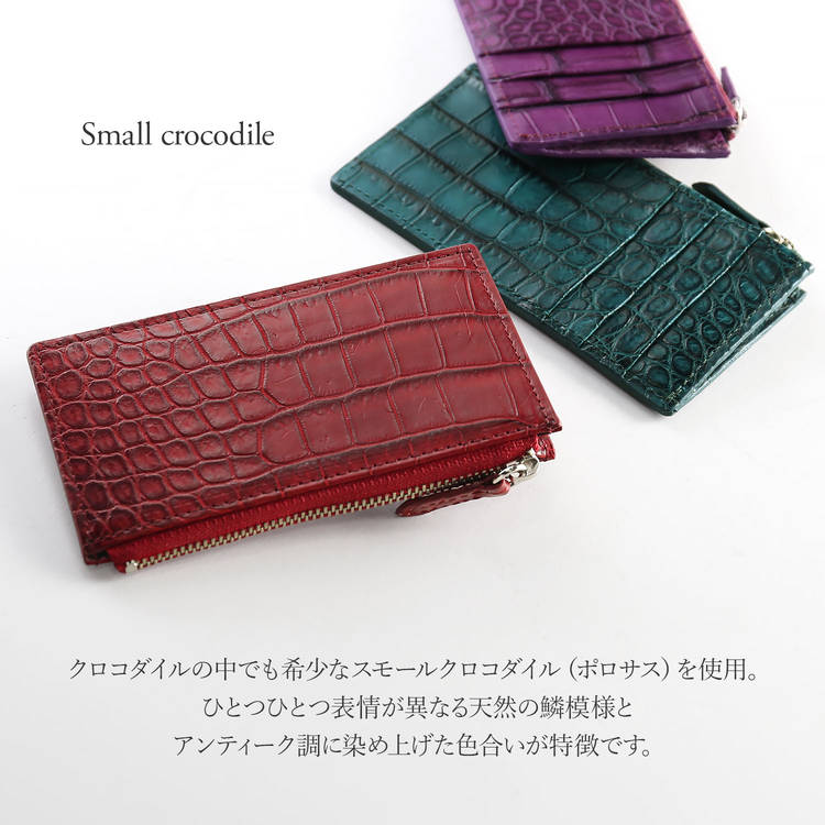 スモールクロコダイルフラグメントケース