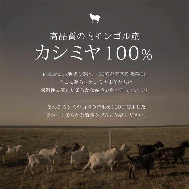 カシミヤ100%メンズチェスターコートブラック