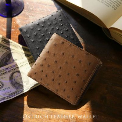 000000000593-01-m.jpg?t=