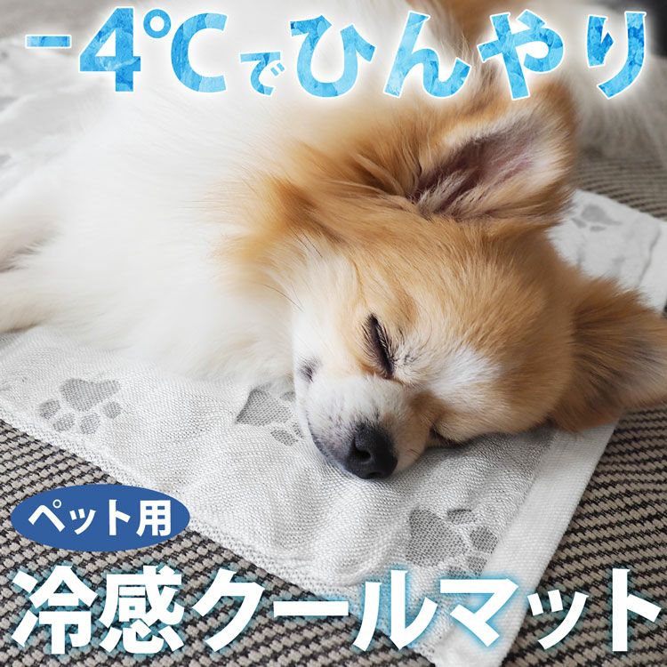 MARUKO C70 冷感接触ブラ 7/15迄値下げ中〉MARUKO C70 冷感接触ブラ - メルカリ