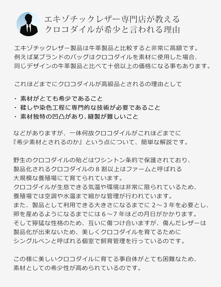 クロコダイルハンドバッグレディース日本製センター取りハンドル結び手2WAY仕様マット加工目地染め(No.06001204)