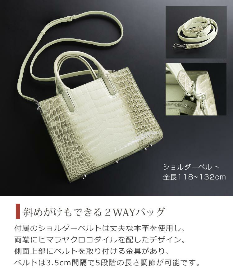 ショルダーベルト付きで2WAYで使える