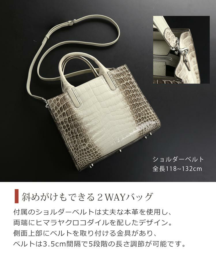 ショルダーベルト付きで2WAYで使える