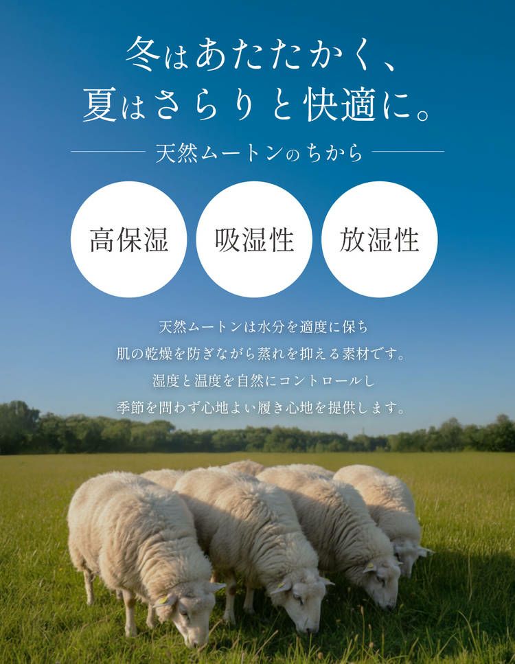 スリッパムートンルームシューズ羊毛室内来客用ふわふわもこもこブランドje'coule低反発(09000081r)