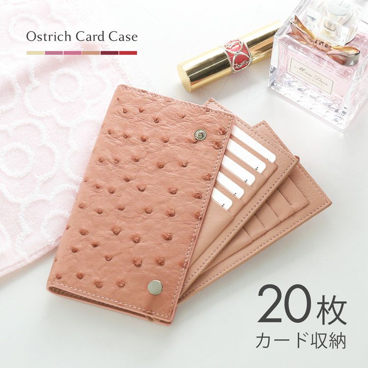 カードケース 本革 オーストリッチ レディース 大容量 20枚収納