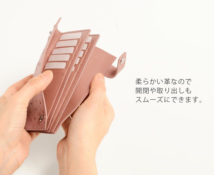 カードケース 本革 オーストリッチ レディース 大容量 20枚収納