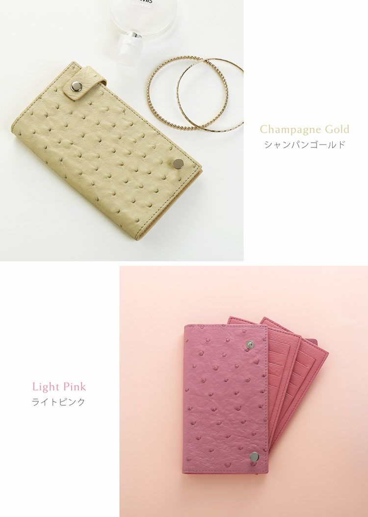 カードケース 本革 オーストリッチ レディース 大容量 20枚収納