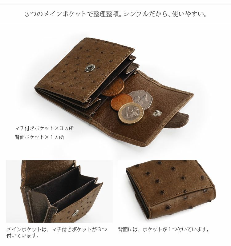 ネコポスで送料無料】オーストリッチ 小銭入れ 財布 スクエア型