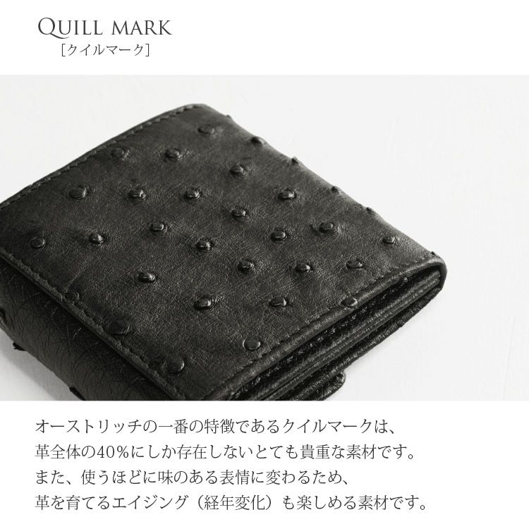 000000003277-05-l.jpg?t=