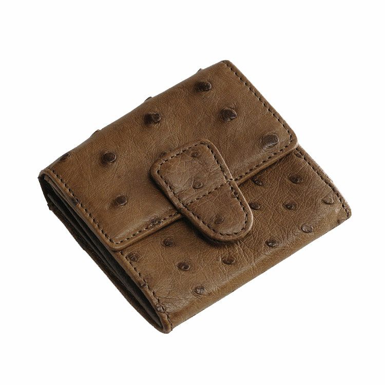 ネコポスで送料無料】オーストリッチ 小銭入れ 財布 スクエア型