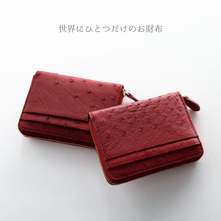 オーストリッチ財布コンパクト財布ミニ財布ラウンドファスナーレッド赤小さい小さめコンパクト