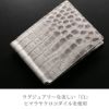 美しい白のヒマラヤクロコダイル