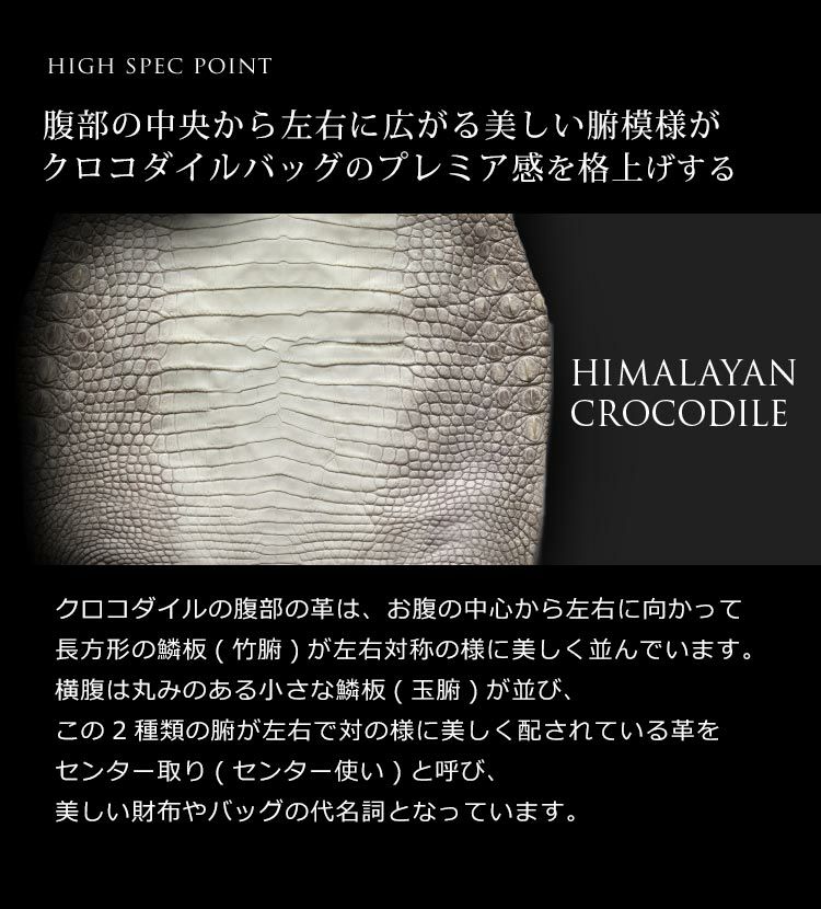 ヒマラヤクロコダイルメンズ2WAYハンドバッグ日本製ミニトートバッグ小さめマット加工センター取り