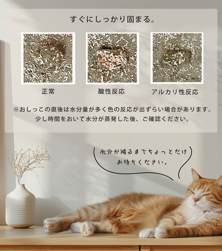 猫砂健康チェックおから天然素材phおしっこチェック固まる清潔