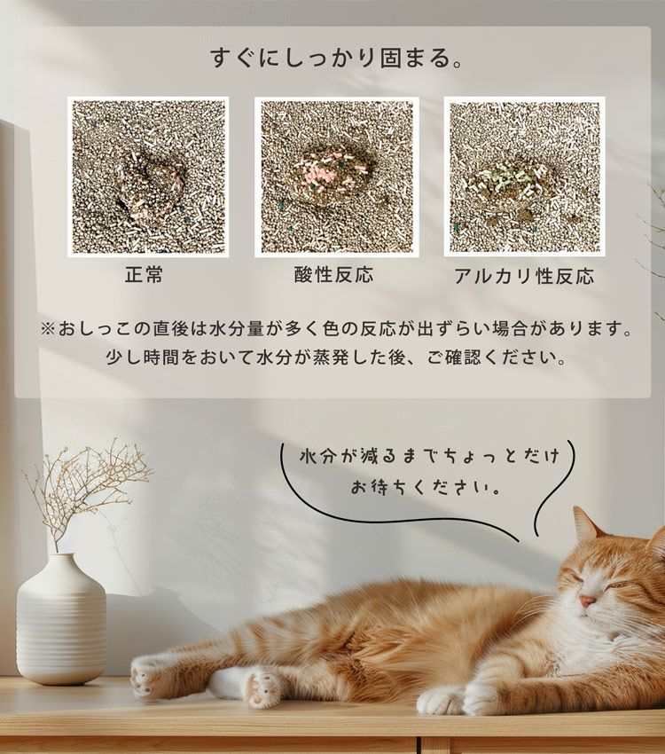 猫砂 健康チェック おから ベントナイト 天然素材 ph おしっこチェック 固まる 清潔