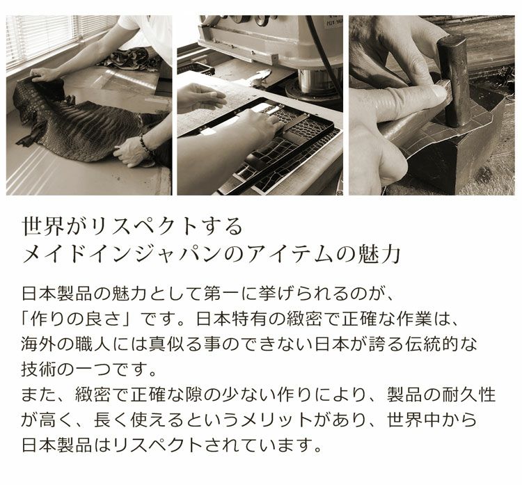 オーストリッチメンズセカンドバッグダイヤルロック式日本製27cmフルポイントブラック