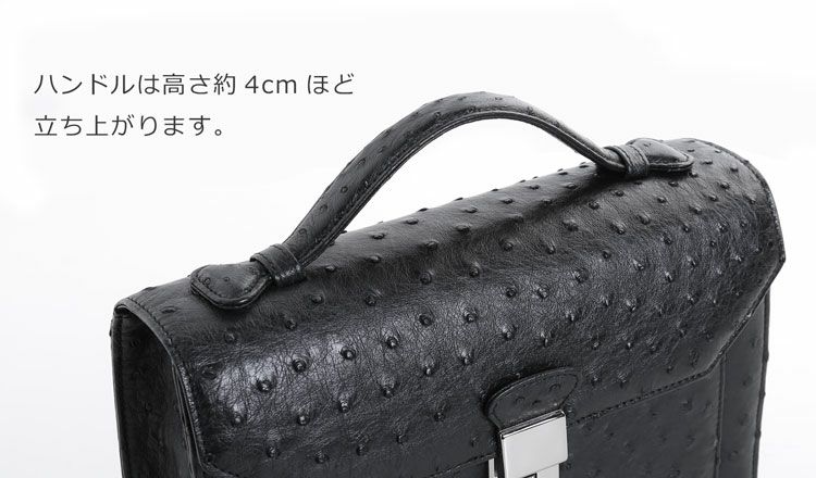 オーストリッチメンズセカンドバッグダイヤルロック式日本製27cmフルポイントブラック
