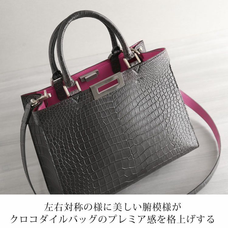 美しいセンター取りのスモールクロコダイル