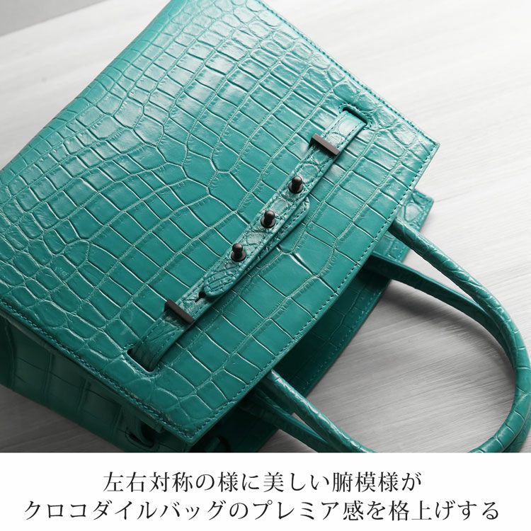 美しいセンター取りのナイルクロコダイル