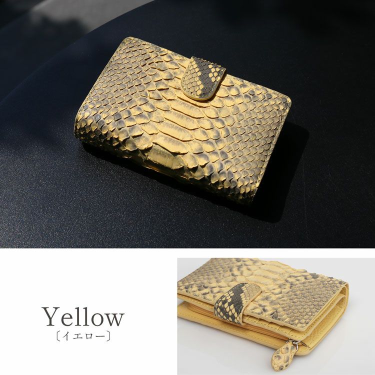 ダイヤモンドパイソンイエロー