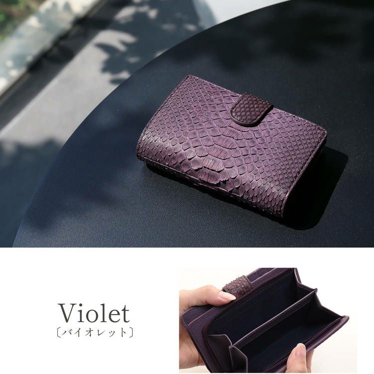 ダイヤモンドパイソンバイオレット